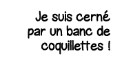 Je suis cerné par un banc de coquillettes  