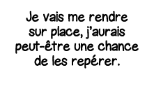 Je vais me rendre sur place, j aurais peut-être une chance de les repérer 