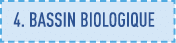 4  bassin biologique