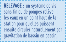 Relevage : un système de vis sans fin ou de pompes relève les eaux en un point haut de la station pour qu elles puiss   