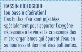bassin biologique (ou bassin d aération) Des bulles d air sont injectées spécialement pour apporter l oxygène nécessa   