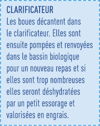 CLARIFICATEUR Les boues décantent dans le clarificateur  Elles sont ensuite pompées et renvoyées dans le bassin biolo   