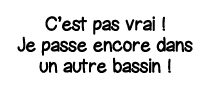 C est pas vrai   Je passe encore dans un autre bassin  