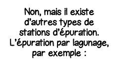 Non, mais il existe d autres types de stations d épuration  L épuration par lagunage, par exemple :