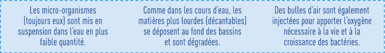 Les micro-organismes (toujours eux) sont mis en suspension dans l eau en plus faible quantité  Comme dans les cours d   