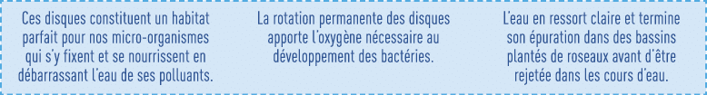 Ces disques constituent un habitat parfait pour nos micro-organismes qui s y fixent et se nourrissent en débarrassant   