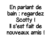 En parlant de bain : regardez Scotty   Il s est fait de nouveaux amis  