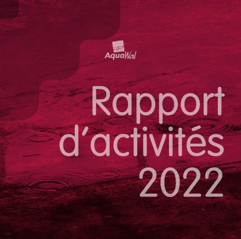Cover rapport annuel 2022