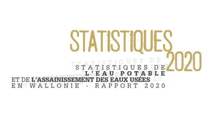 Cover rapport stat 2020 2