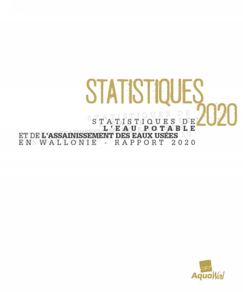 Cover rapport stat 2020