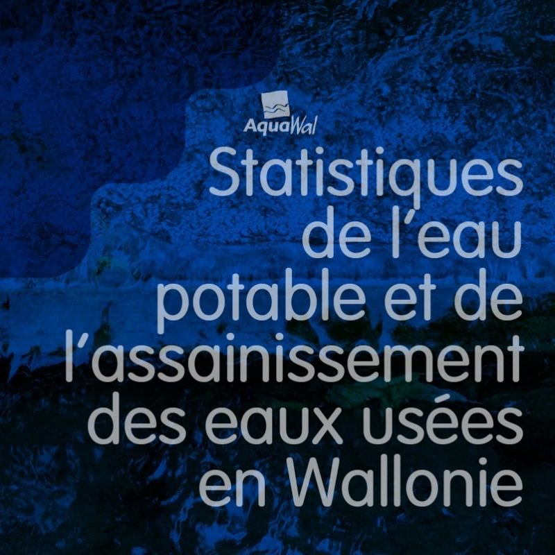 Cover rapport stat 2022