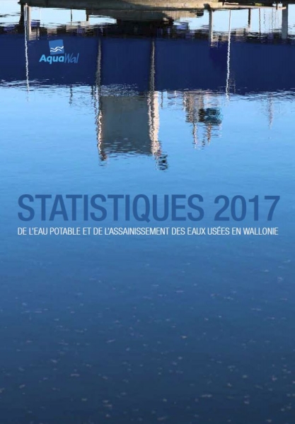 Cover rapport statistiques 2017