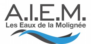 logo AIEM 2017