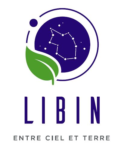 Logo Libin