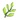 menthe
