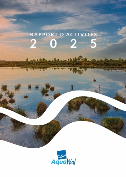 rapport_activites_2025